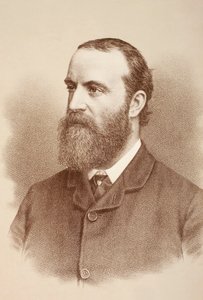 Charles Stewart Parnell, c.1890 von English School